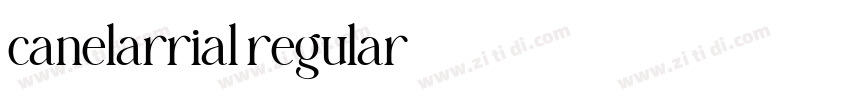 canelarrial regular字体转换